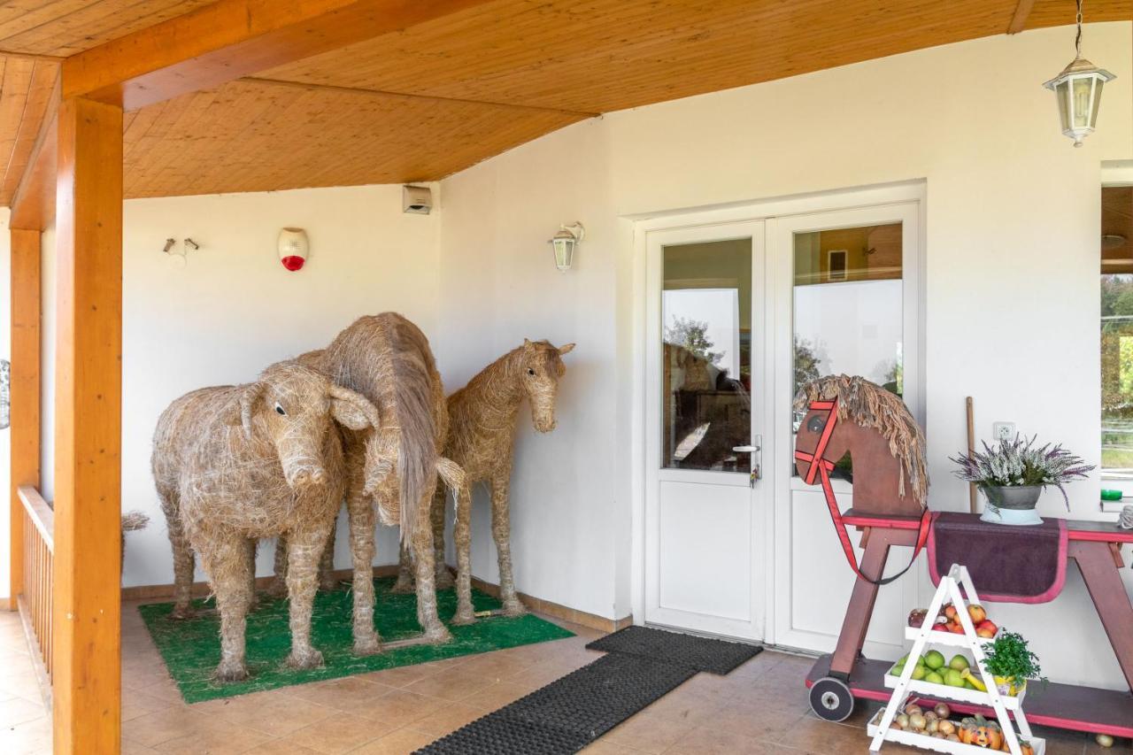Farma Slunecny Dvur Apartmany A Family Stany Strecha Pod Strechou Hermanuv Mestec 외부 사진